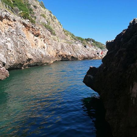 Villa Casa Tequi A 200Mt Dal Mare à Terrasini Extérieur photo